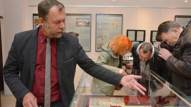 Впервые показан один из крупнейших кладов кельтского золота в Европе