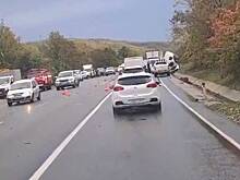 Четыре человека стали жертвами ДТП на российской трассе