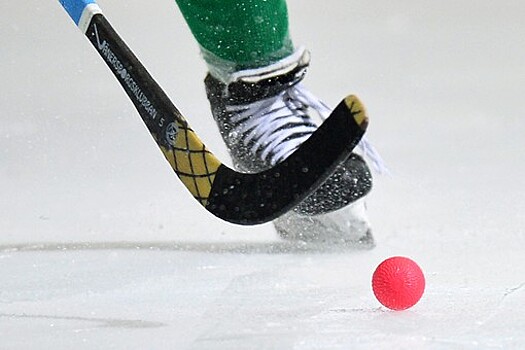 Сборная Швеции по хоккею с мячом вышла в полуфинал чемпионата мира