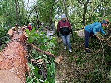 Волонтеры в Белогорском округе расчищают кладбища, которые были завалены во время урагана