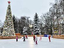 В Подмосковье откроют 30 больших катков с искусственным льдом