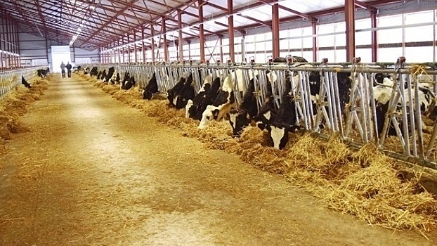 Стоимость оборудования ЖК «Возрождение» в Лабинске снизили в 2 раза