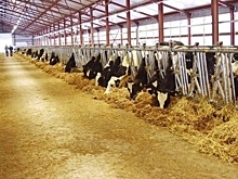 Стоимость оборудования ЖК «Возрождение» в Лабинске снизили в 2 раза