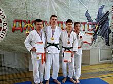 Шесть медалей привезли с всероссийского турнира по джиу-джитсу вологодские спортсмены