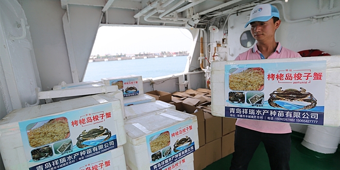 Активисты Китая и Республики Корея выпустили в Желтое море 400 тыс мальков