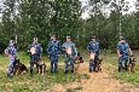 Сотрудники УФСИН России по Республике Саха (Якутия) стали призерами Кубка Якутского Рессовета Общества «Динамо» по многоборью кинологов