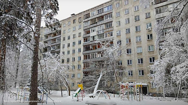 Пока все спали: берёза рухнула прямо жилой дом в Новосибирске