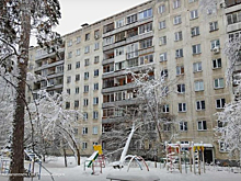 Пока все спали: берёза рухнула прямо жилой дом в Новосибирске