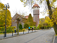 Россияне определили самые востребованные направления ноября