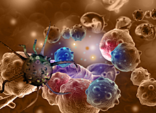 Неконтролируемые клетки: почему рак возвращается