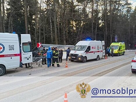 Уголовное дело возбуждено после съезда автобуса в кювет в Орехове-Зуеве