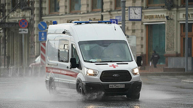 Школьника растерзала собака под Москвой