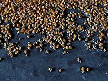 В Польше назвали неприемлемыми последние заявления Украины