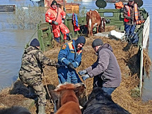 Чиновник назвал россиян клоунами и поплатился за это. Подробности истории