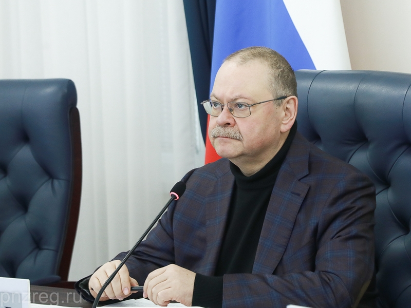 Губернатор поручил усилить информирование жителей Пензенской области о методах противодействия мошенникам