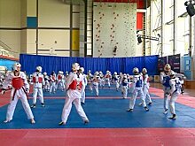 Пензенские спортсмены встретились с президентом Союза тхэквондо России