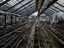 Южная Корея недовольна из-за возможного спуска воды с АЭС "Фукусима-1"