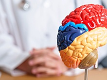 Найдена молекула, улучшающая память при болезни Альцгеймера