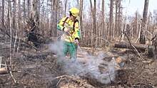 ​Свердловские власти заявили о влиянии лесных пожаров на подготовку к отопительному сезону