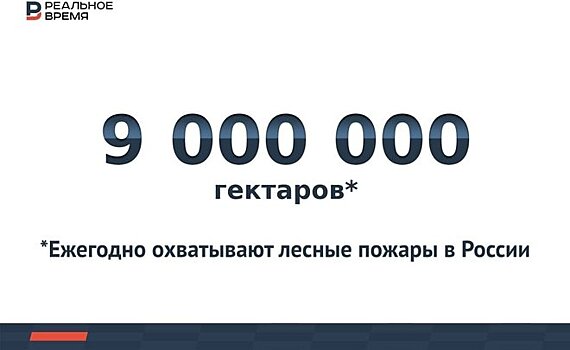 Площадь лесных пожаров в России достигла 55,6 тыс. га