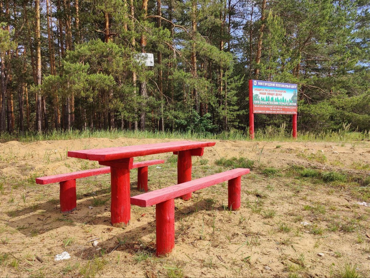Более трех тысяч зон для отдыха оборудовано в лесах Нижегородской области