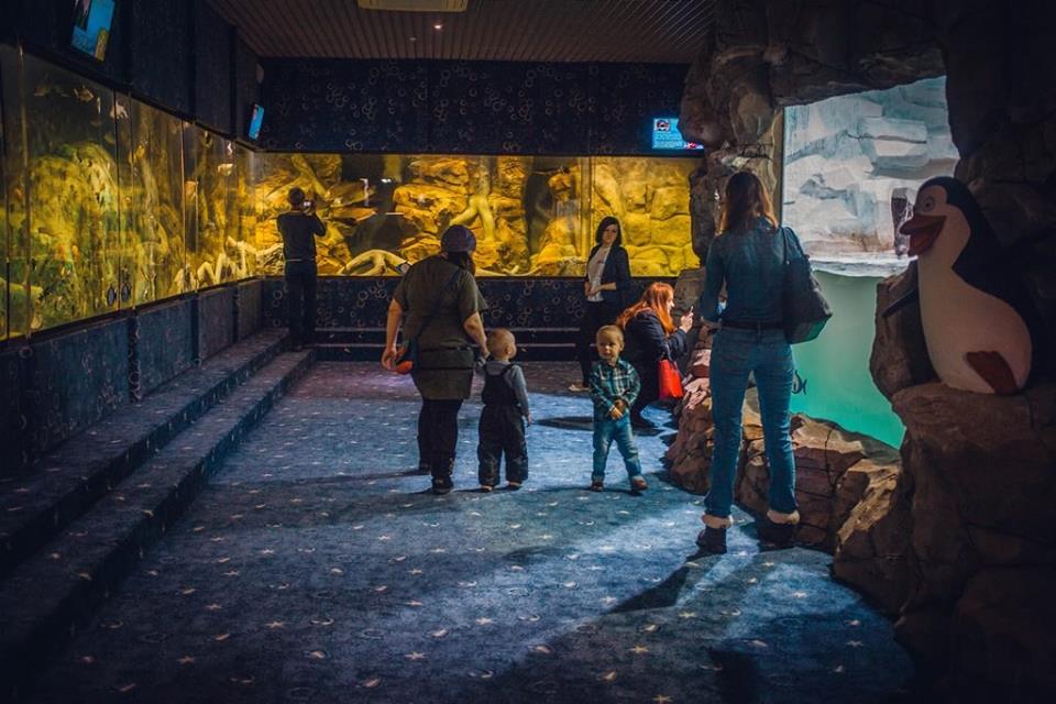 Океанариум, Санкт-Петербург, Россия, Европа