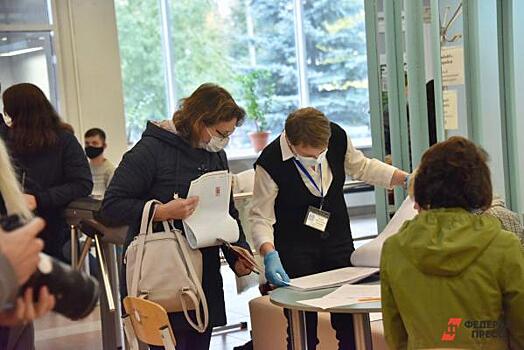 Председатель новосибирского облизбиркома рассказала о нарушениях на выборах в Госдуму