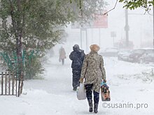 Количество убийств сократилось на 21% в 2025 году в Удмуртии