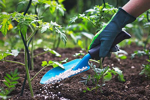 Россия рекордно увеличит поставки удобрений в Индию и Китай