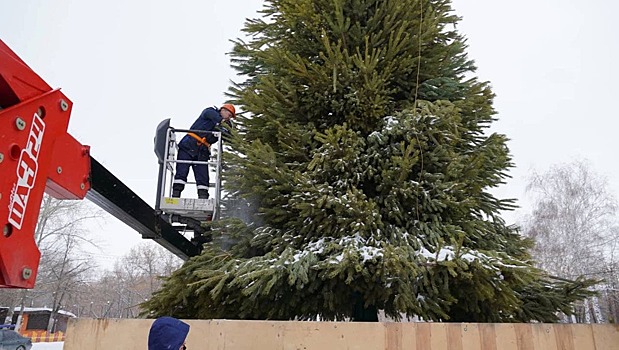 В Оренбурге новогодние елки переработают в удобрения