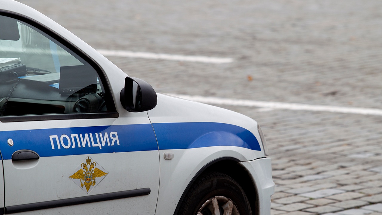 Тело пропавшей 8-летней школьницы нашли в лесополосе под Ростовом