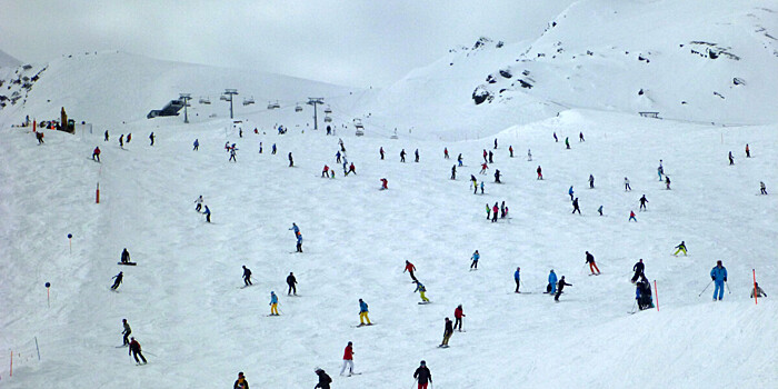 Бодающего туристов быка пытаются поймать на горнолыжной трассе в Сочи