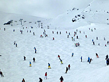 Бодающего туристов быка пытаются поймать на горнолыжной трассе в Сочи