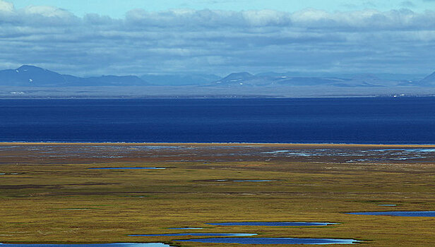 Эксперты "ПОРА" предлагают создать макрорегион Арктика