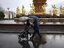 Москвичам пообещали колебания «погодного маятника»