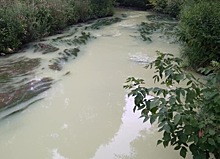 Почему река Сетунь окрасилась в молочный цвет