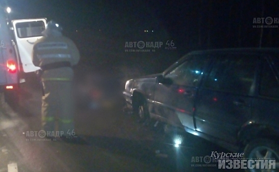 Курская область. Мужчину сбили насмерть пока он менял колесо на автомобиле