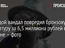 Молодой вандал повредил бронзовую скульптуру за 6,5 миллиона рублей в Тихвине – фото