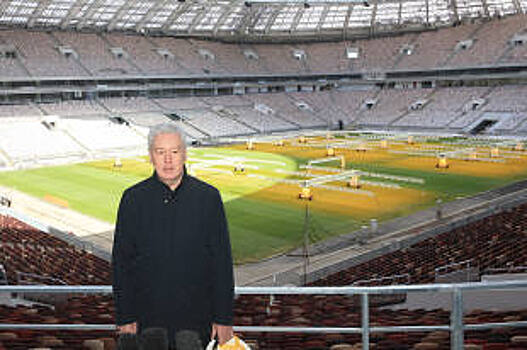 В "Лужниках" появится зеркальная станция канатной дороги с подсветкой