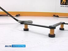 Мастер-класс калининградским хоккеистам дали чемпионы Игорь Волков и Михаил Васильев