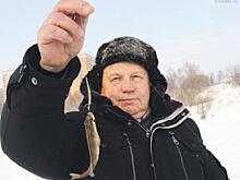 Рецепт идеального улова: корреспондент «ВМ» побывал на зимней рыбалке