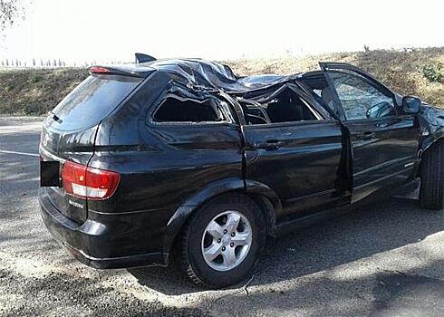 В Крымском районе на иномарку упало дерево, водитель погиб