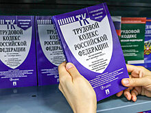 Минтруд планирует актуализировать ряд норм Трудового кодекса