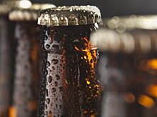 Онищенко намерен судиться с авторами идеи не считать пиво алкоголем