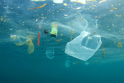 На побережье Красного моря запретили пластиковые посуду и пакеты
