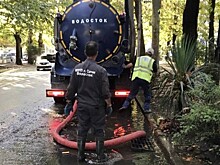 Минус 15 деревьев: как Сочи пережил ночной разгул стихии