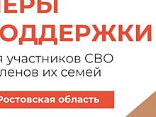В регионе работает чат-бот поддержки участников СВО и членов их семей