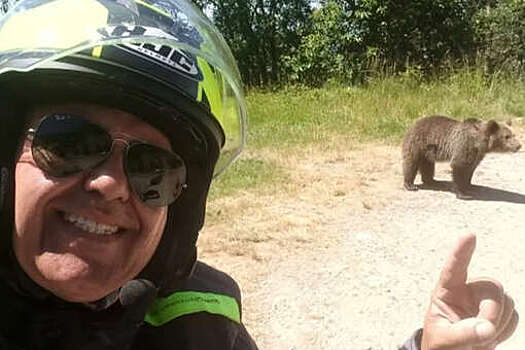 В Румынии медведь напал на итальянского туриста, который пытался покормить его