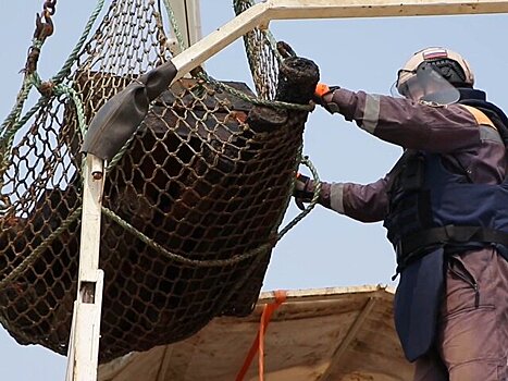 Свыше 9,5 тыс снарядов времен ВОВ поднято со дна Балтийского моря