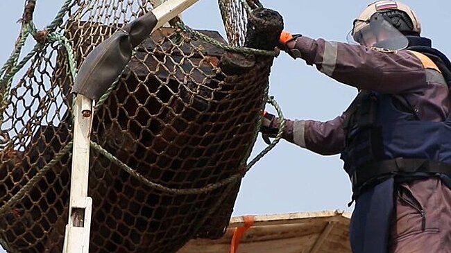 Свыше 9,5 тыс снарядов времен ВОВ поднято со дна Балтийского моря